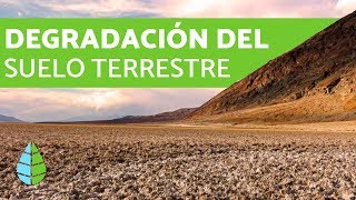 Degradación del suelo terrestre  CAUSAS Y CONSECUENCIAS [upl. by Bond]