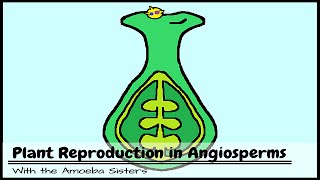 Plant Reproduction in Angiosperms [upl. by Leihcim280]