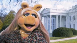 Miss Piggy Goes To Washington  The Muppets [upl. by Animlehliw]