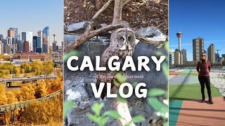 September Weekly Vlog calgary daily life zoo trip amp night lights [upl. by Ydnir]