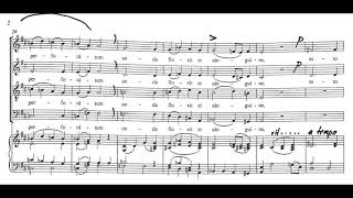 Ave verum corpus Mozart  SATB balanced PRACTICE [upl. by Merkley700]