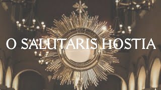 O Salutaris Hostia  Catholic Latin Hymn [upl. by Lulu442]