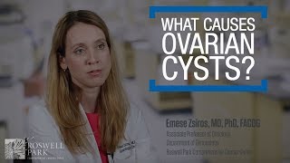 Ovarian Cyst Causes Symptoms and Treatment [upl. by Taka]