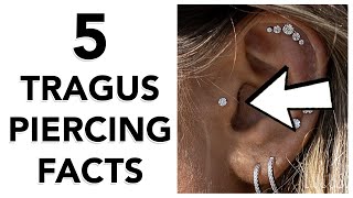 5 Facts About Tragus Piercings [upl. by Benedick140]