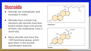 Lipids 3 Steroids Cholesterol and Steroid Hormones [upl. by Rosie937]