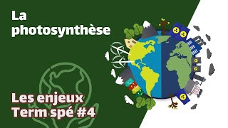 La photosynthèse  SVT  ENJEUX Term spé 4  Mathrix [upl. by Nerot]