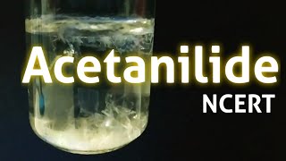 Acetanilide Nphenylacetamide Preparation NCERT guide [upl. by Earal908]