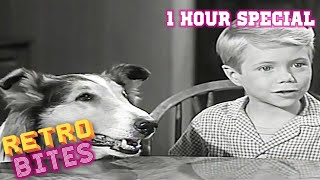 Lassie  1 Hour Special  Full Episodes [upl. by Lledrac465]