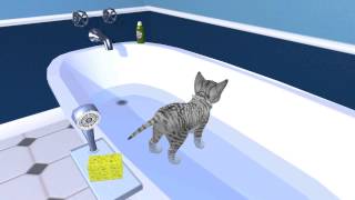 Petz Catz 2 Gameplay D [upl. by Haisa]