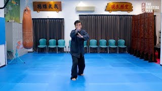 White Crane Kung Fu forms demonstrated by Master Richard Huang 黃正斌 [upl. by Ellenet]