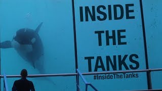 Inside The Tanks Full Documentary [upl. by Franci]