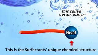 How Laundry Detergent Works SURFACTANTS [upl. by Llezo]