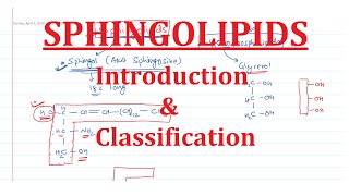 21 Sphingolipids Introduction amp Classification [upl. by Ahsi]