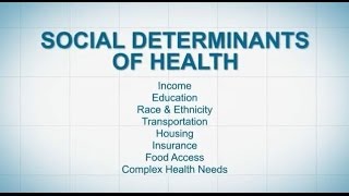 Social Determinants of Health [upl. by Placidia765]