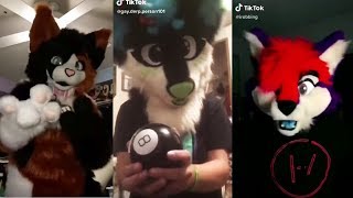 Furry TikTok Cringe [upl. by Aggy]