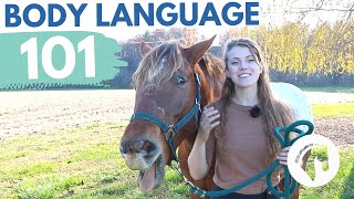 READING HORSE BODY LANGUAGE amp BEHAVIOR [upl. by Infield]