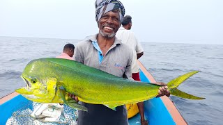 LINE FISHING  MAHI MAHI FISHES CAUGHT IN THE SEA [upl. by Ennahs]