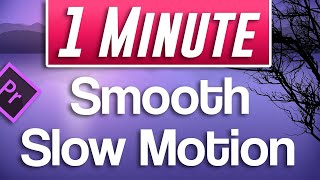 Premiere Pro  Smooth Slow Motion Tutorial With 30fps footage [upl. by Lonyer]