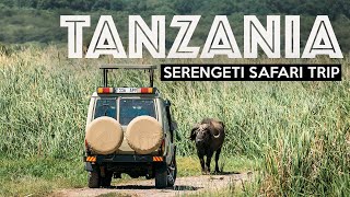 TANZANIA SAFARI  Exploring The Serengeti [upl. by Ellehs]