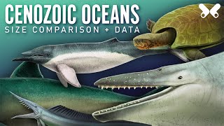 Aquatic animals of the Cenozoic Size comparison paleoart [upl. by Burnight]