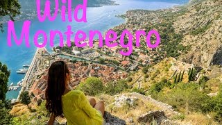 Montenegro Travel Highlights [upl. by Atsedom]