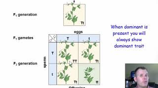 Gregor Mendel and Genetics [upl. by Kassel]