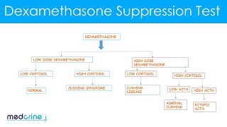 Dexamethasone Suppression Test How it is done and interpretation of the findings [upl. by Lindbom]