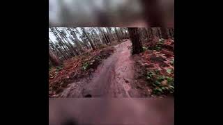 TRAIL FURY mtb [upl. by Odlanra]