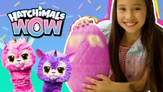 Hatchimals WOW – Unboxing amp How To [upl. by Yllod]