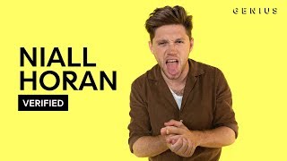 Niall Horan quotNice To Meet Yaquot Official Lyrics amp Meaning  Verified [upl. by Nirrek822]