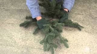 How To Properly Shape an Artificial Christmas Tree Branch [upl. by Saenihp]