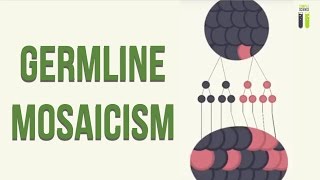 Mosaicisms  Part 1  Germline Mosaicism [upl. by Vallery]