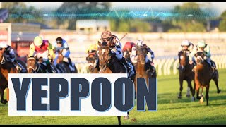 【YEPPOON】 AUSTRALIA HORSE RACE ANALYSIS [upl. by Reynold]