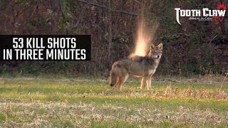 53 Kill Shots In 3 Minutes  Coyote Hunting [upl. by Dusen251]