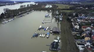 Hochwasser in Wiesbaden  Luftaufnahmen vom Schiersteiner Hafen und Biebricher Rheinufer [upl. by Nelubez]