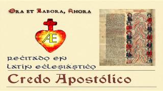 Credo apostólico recitado en latín eclesiástico [upl. by Sherburn624]