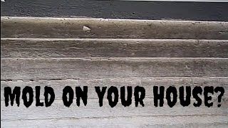 How to Remove Mold from Entire House Exterior [upl. by Pirnot]