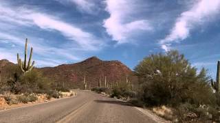 A Drive Through the Saguaro National Park Tucson Arizona [upl. by Primrosa]