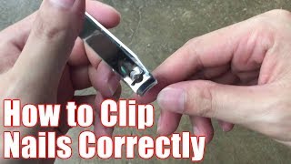 How to Cut Fingernails Properly – Trim Your Nails Easy Manicure [upl. by Nancy317]