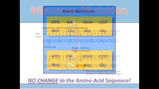 Substitution Mutations [upl. by Lukasz]