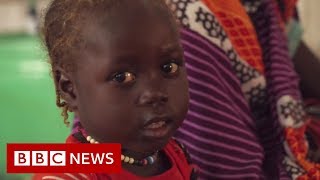 The ongoing struggle for peace in Darfur  BBC News [upl. by Wind271]