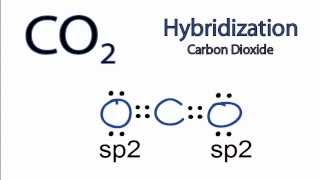 CO2 Hybridization Hybrid Orbitals for CO2 [upl. by Millur]