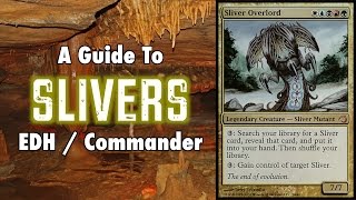 MTG  A Study In Slivers  A Guide To EDH  Commander Sliver Decks in Magic The Gathering [upl. by Adnilec904]