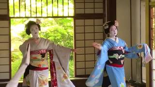 Ep 9 Geishaspotting Geisha group dance at Genkoan in Kyoto Japan [upl. by Nolrah]