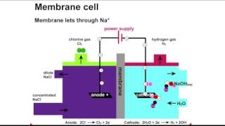 ChlorAlkali Process Animation [upl. by Rosana]