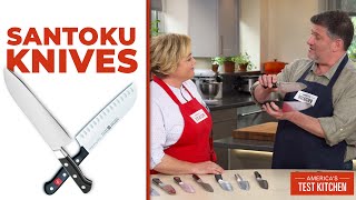 The Best Santoku Knives [upl. by Glori903]