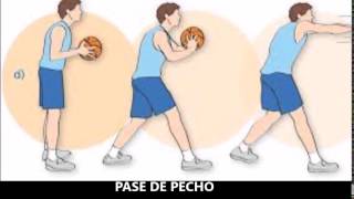 FUNDAMENTOS DEL BALONCESTO [upl. by Undry]