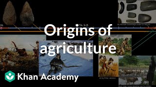 Origins of agriculture  World History  Khan Academy [upl. by Vial]