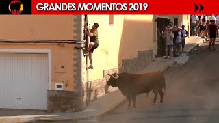 🤩 GRANDES MOMENTOS de 2019 · Tercera parte [upl. by Anod]