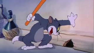 Tom Cats Pursuits of Jerry Mouse [upl. by Almeida567]